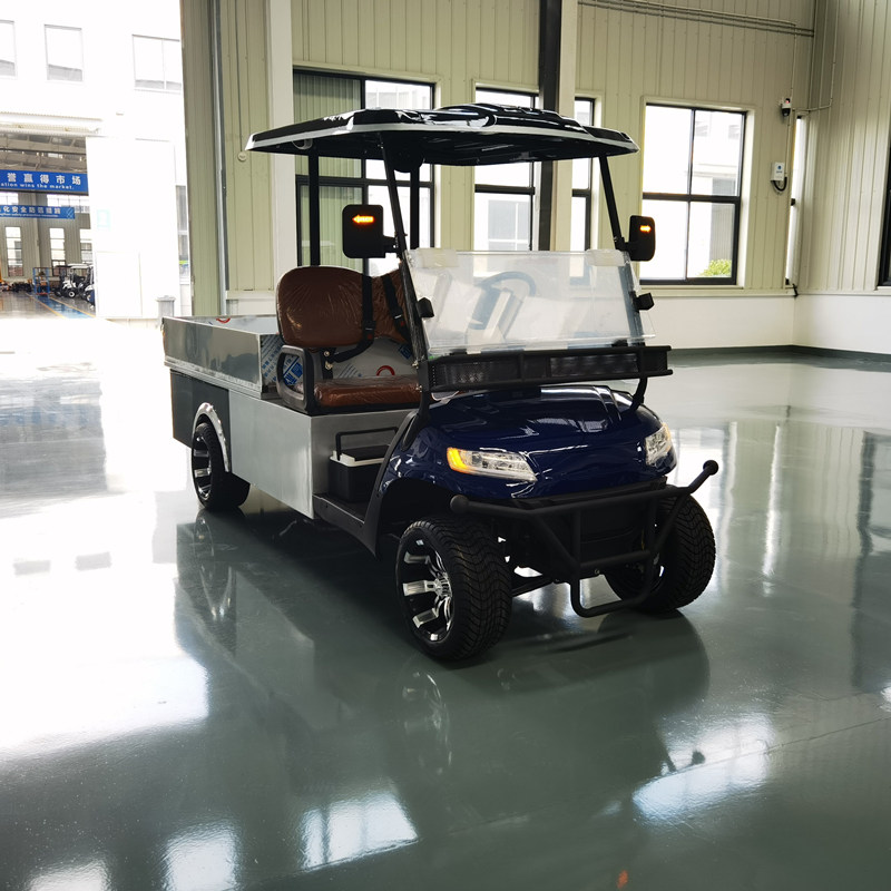 Golf cart with cargo bed1.jpg